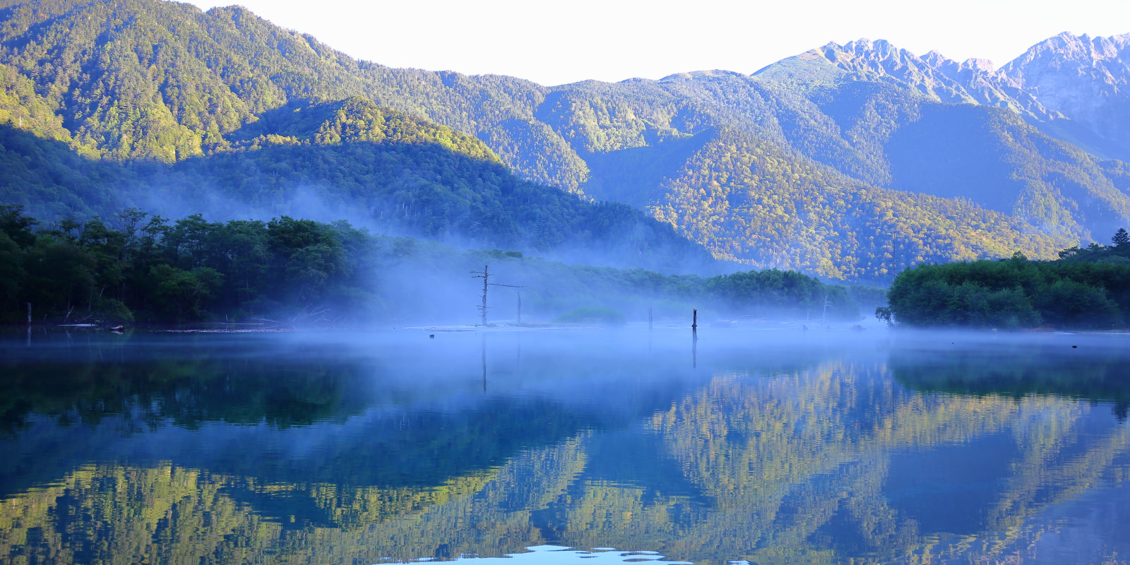 【一個人旅行】長野山行⛰上高地住一晚| 清晨限定的仙境美景❤魔幻大正池